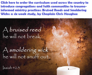 Chris Haughee's Trauma-Informed Ministry Course: Sunday School Curriculum